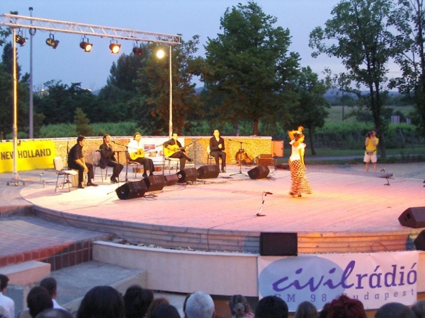 Balatonfüredi Gitárfesztivál